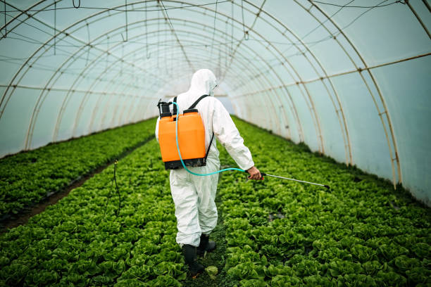 Best Best Pest Control Companies  in Jupiter, FL