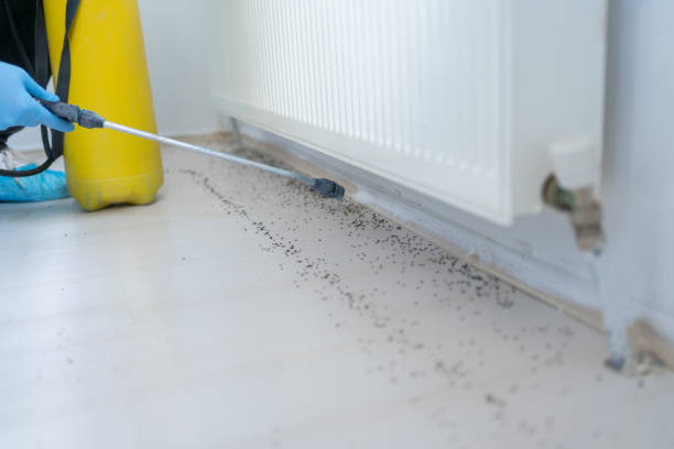 Best Pest Removal Services  in Jupiter, FL